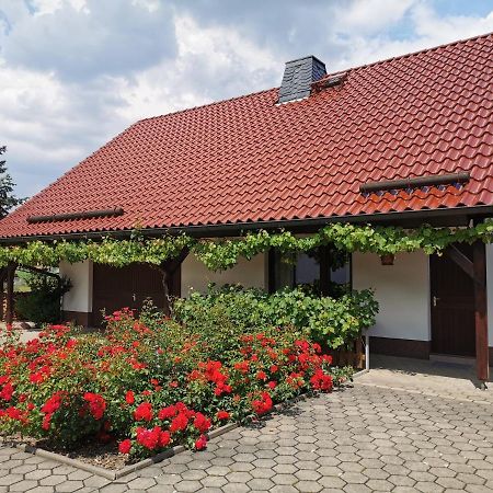 Ferienhaus Rosenhof Glaubitz Luaran gambar