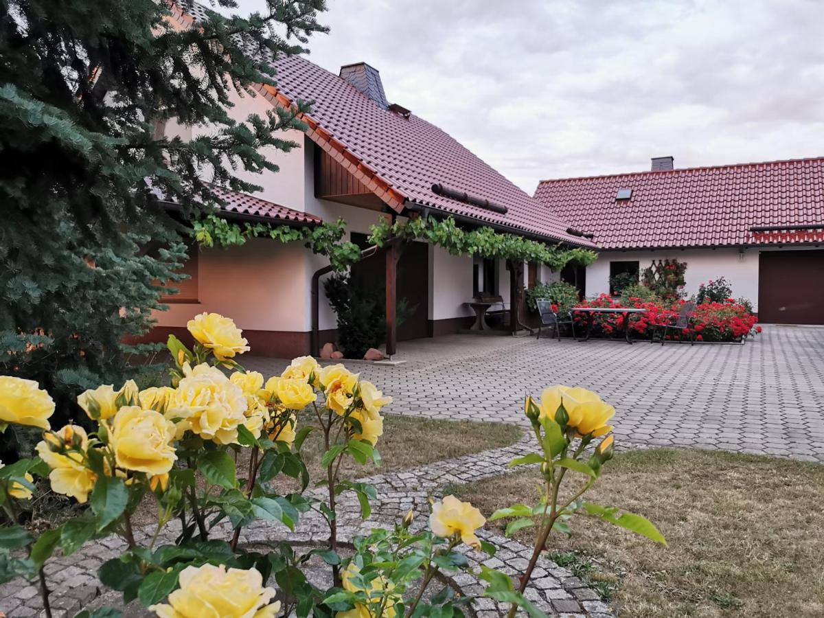 Ferienhaus Rosenhof Glaubitz Luaran gambar