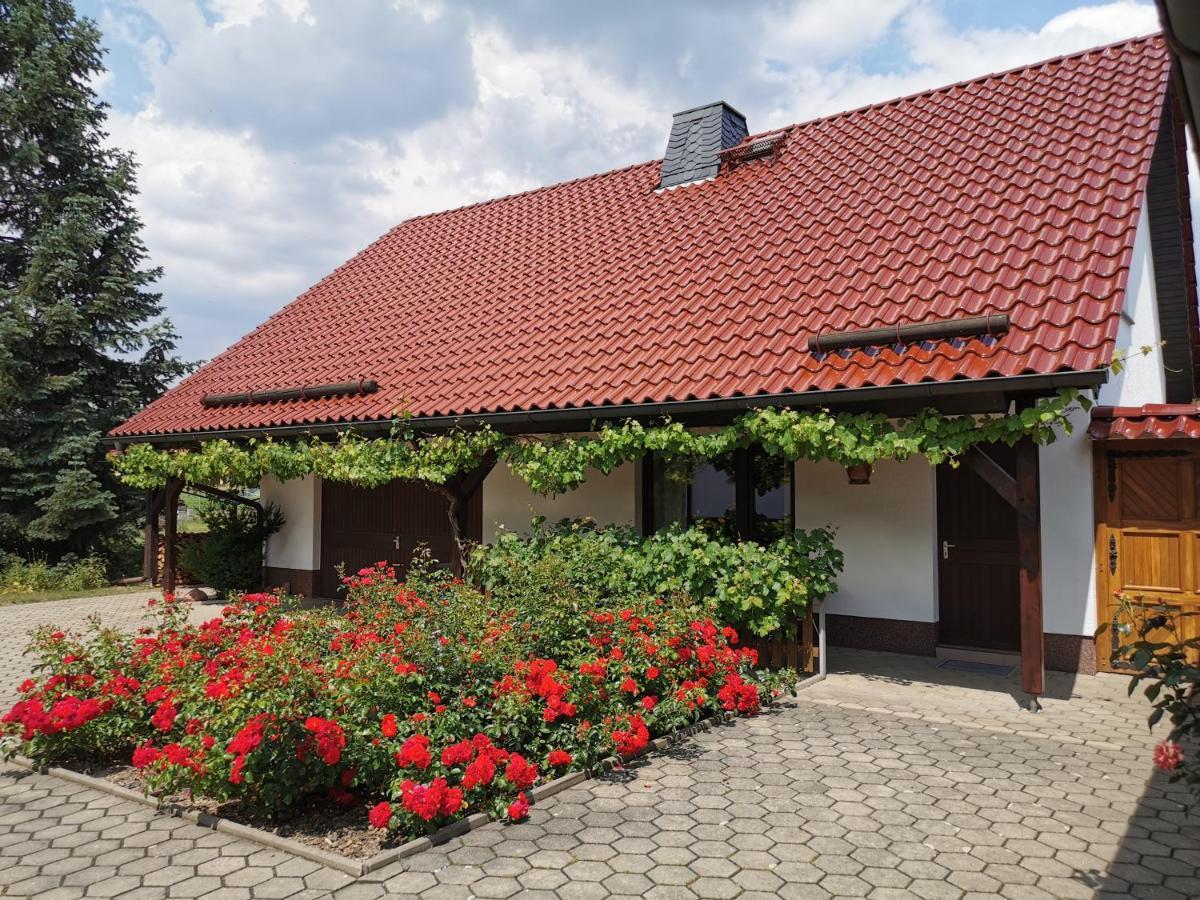 Ferienhaus Rosenhof Glaubitz Luaran gambar