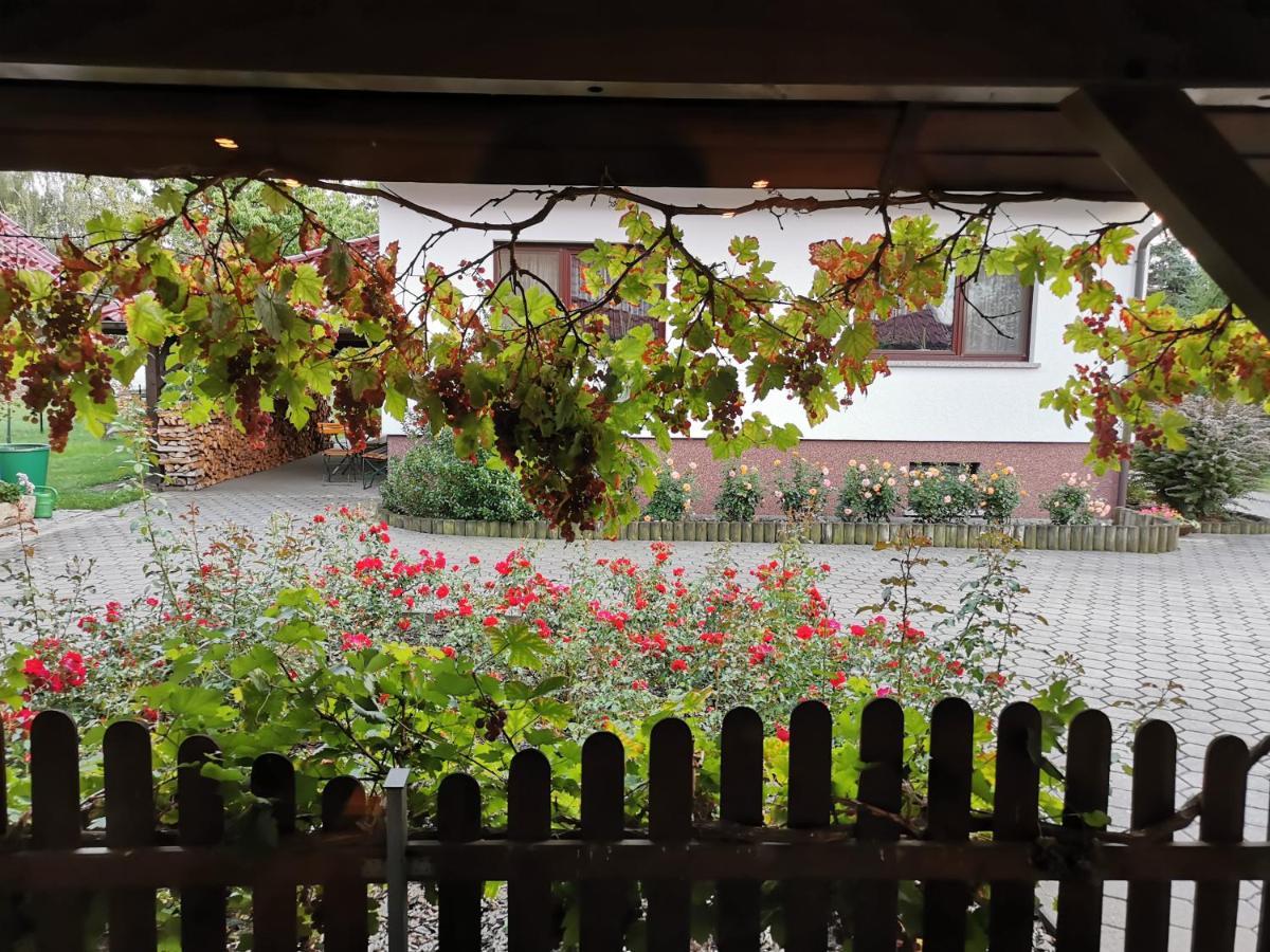 Ferienhaus Rosenhof Glaubitz Luaran gambar