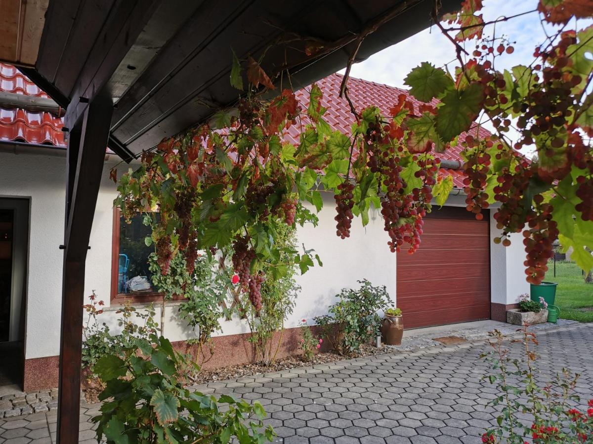Ferienhaus Rosenhof Glaubitz Luaran gambar