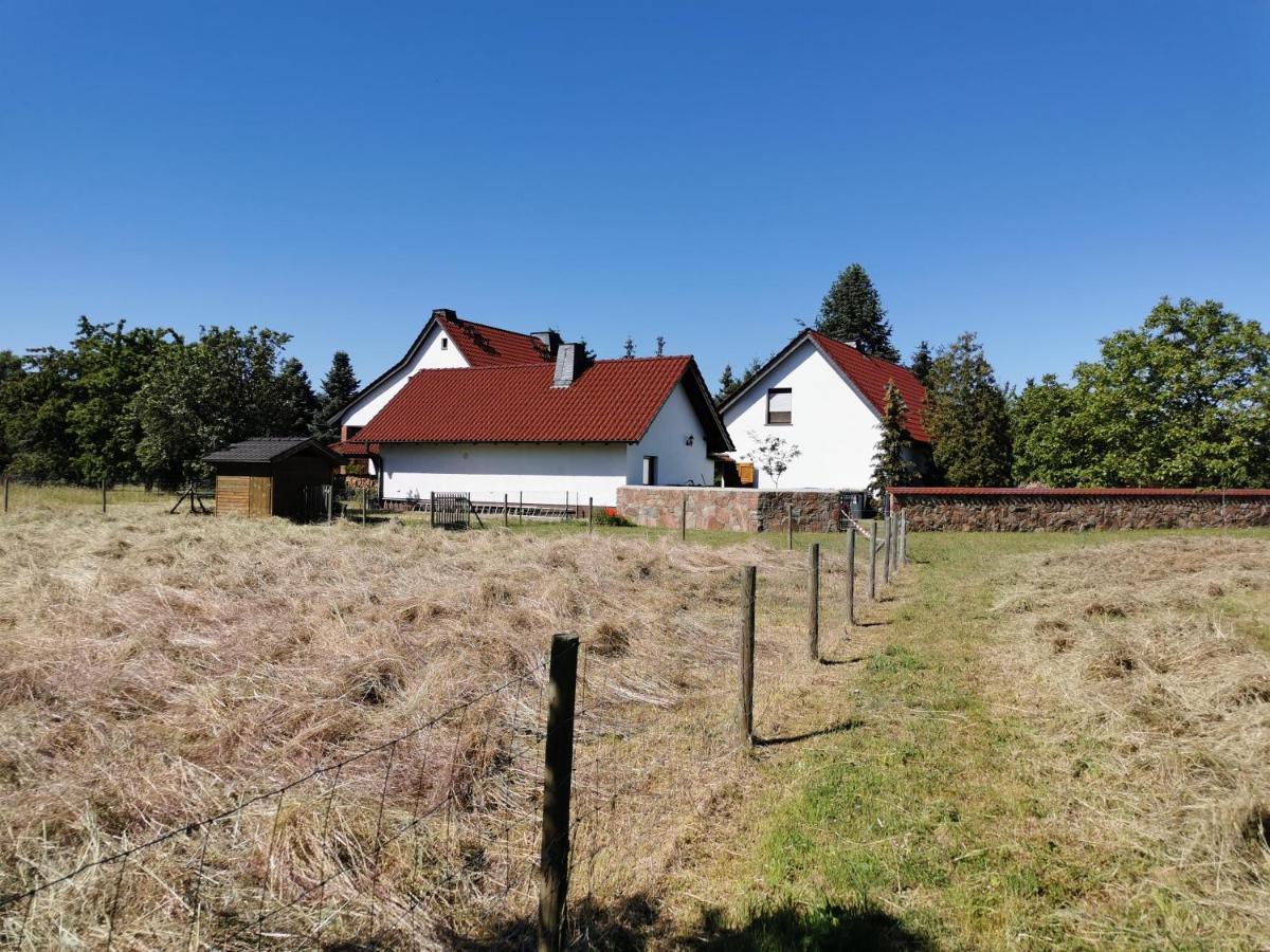Ferienhaus Rosenhof Glaubitz Luaran gambar