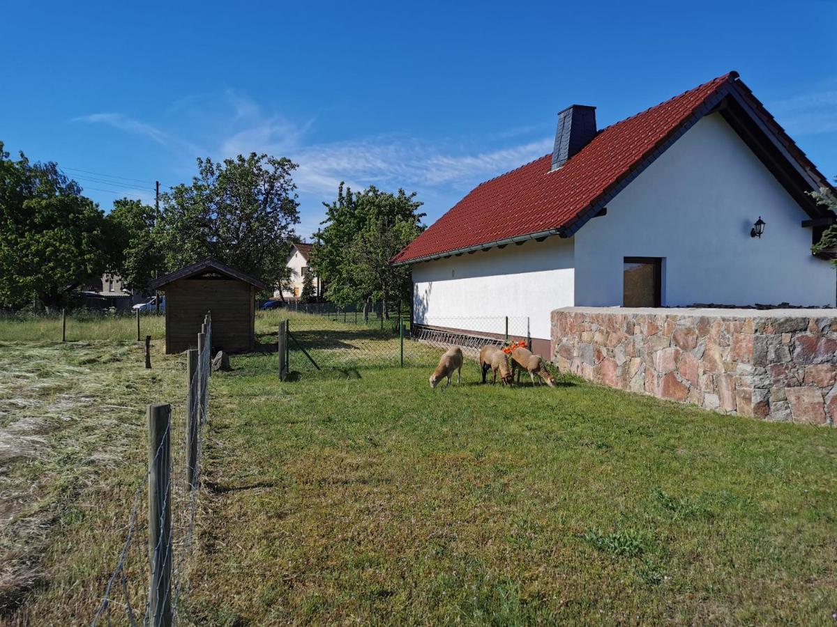 Ferienhaus Rosenhof Glaubitz Luaran gambar